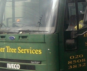 Tree surgeon cutting branches